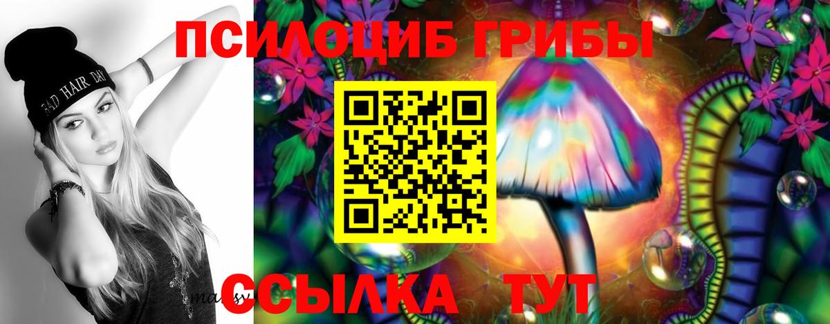 Кирово-Чепецк  Псилоцибиновые грибы ЛСД  Вход с VPN 